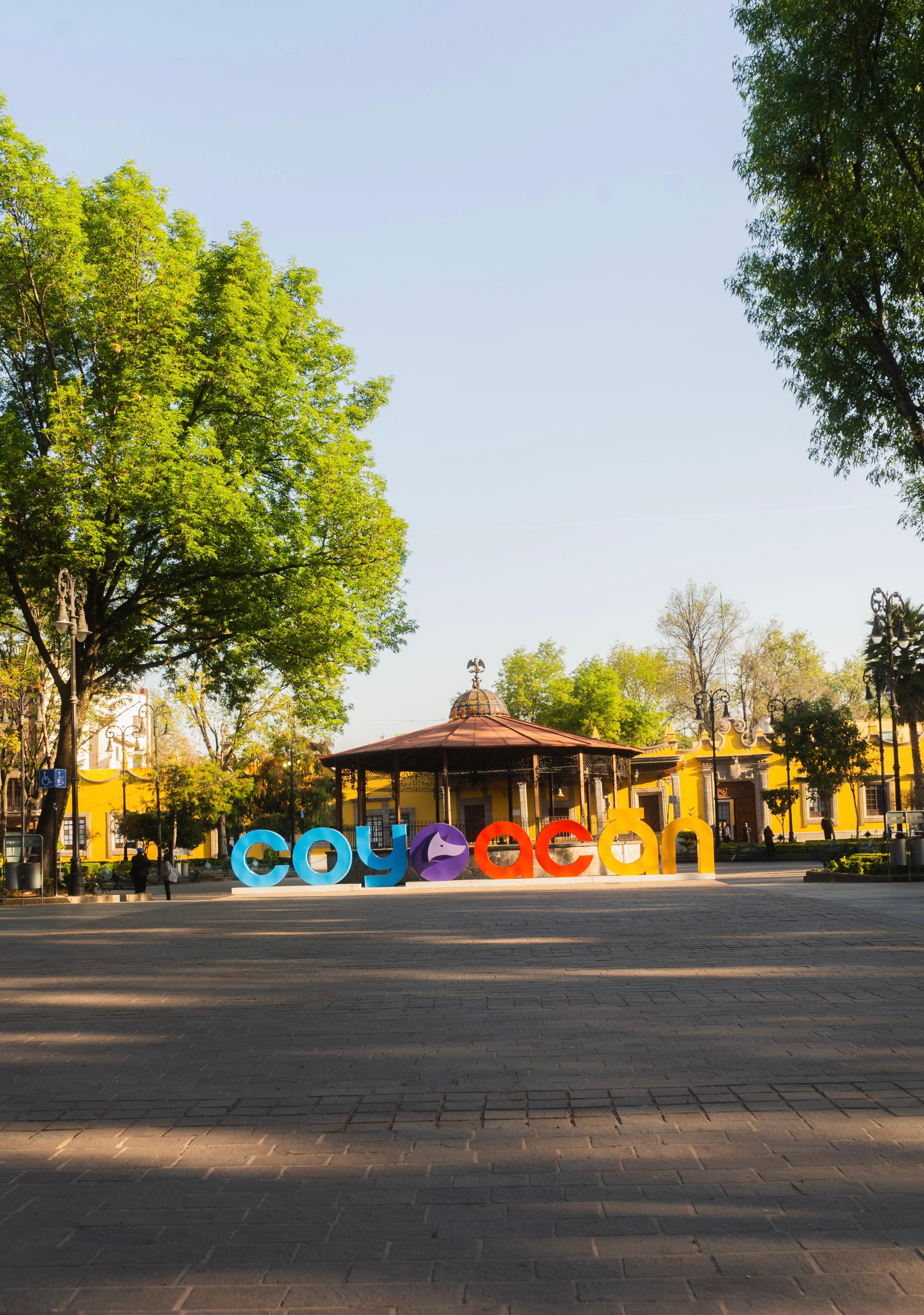 Carousel Image